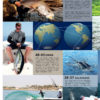 Global Angler vol24 Inhalt Teil 2